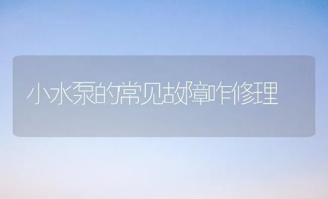 小水泵的常见故障咋修理 | 养殖技术大全