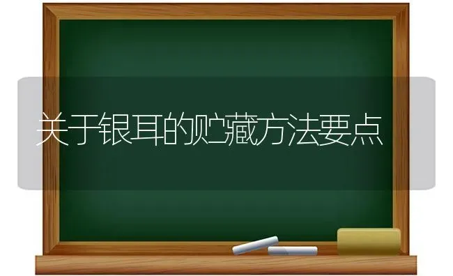 关于银耳的贮藏方法要点 | 养殖技术大全