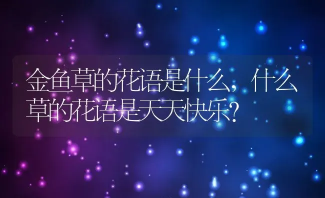 金鱼草的花语是什么,什么草的花语是天天快乐？ | 养殖科普