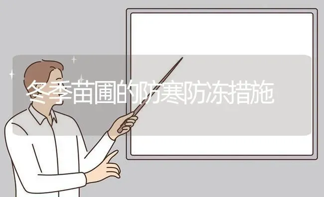 冬季苗圃的防寒防冻措施 | 养殖技术大全