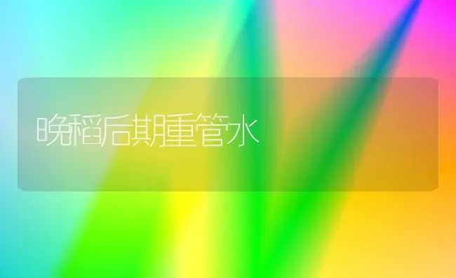 晚稻后期重管水 | 养殖技术大全