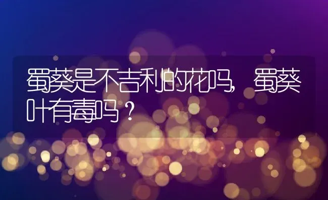 蜀葵是不吉利的花吗,蜀葵叶有毒吗？ | 养殖学堂