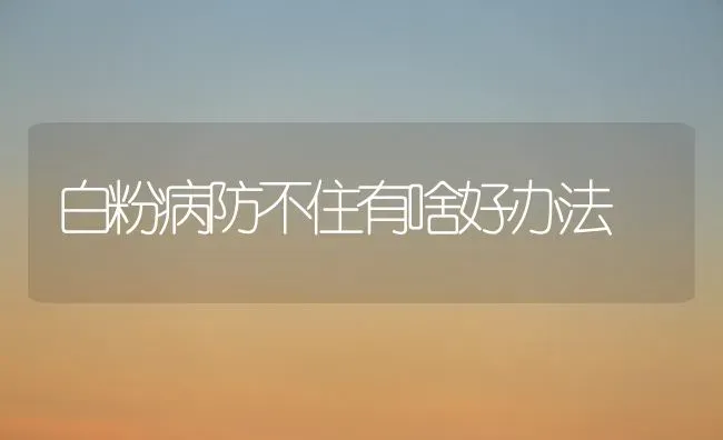 白粉病防不住有啥好办法 | 养殖技术大全