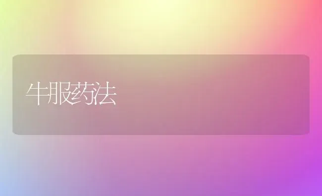 牛服药法 | 养殖知识