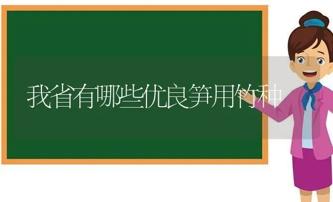 我省有哪些优良笋用竹种 | 养殖技术大全