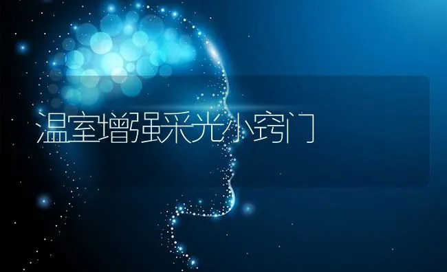 温室增强采光小窍门 | 养殖技术大全