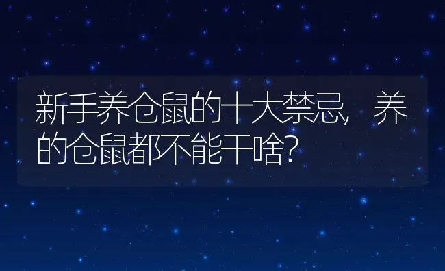 新手养仓鼠的十大禁忌,养的仓鼠都不能干啥？ | 养殖学堂