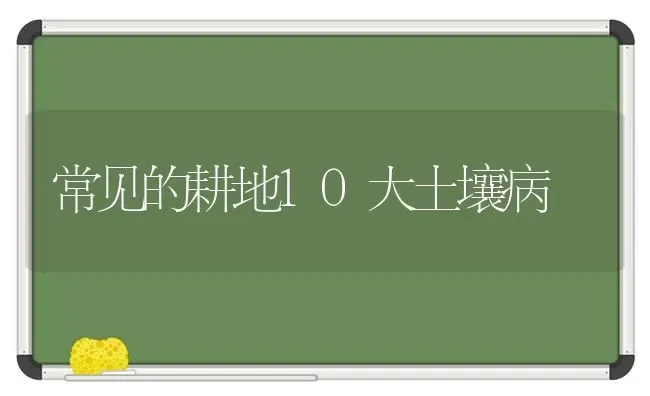 常见的耕地10大土壤病 | 养殖技术大全