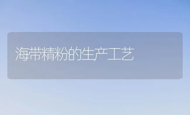 海带精粉的生产工艺 | 养殖技术大全