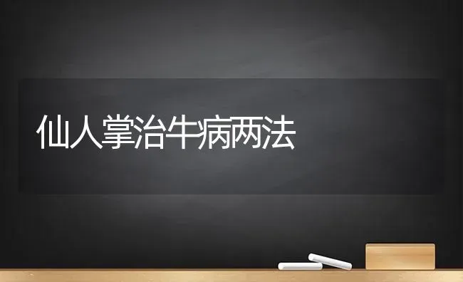 仙人掌治牛病两法 | 养殖知识