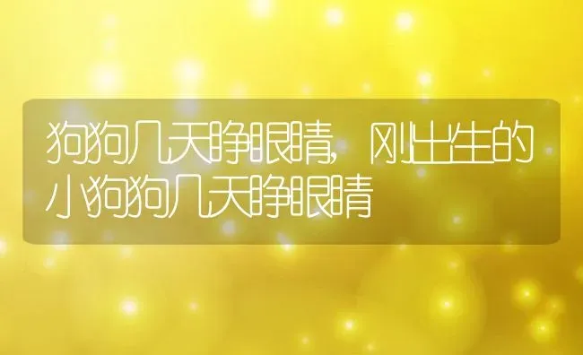 狗狗几天睁眼睛,刚出生的小狗狗几天睁眼睛 | 养殖资料