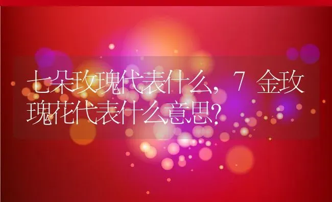 七朵玫瑰代表什么,7金玫瑰花代表什么意思？ | 养殖科普