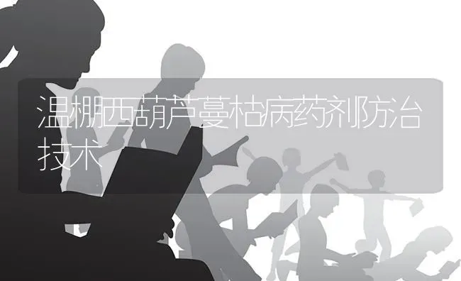 温棚西葫芦蔓枯病药剂防治技术 | 养殖知识