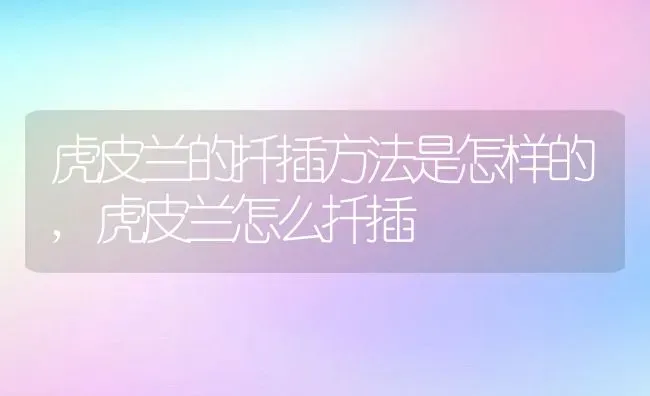 虎皮兰的扦插方法是怎样的,虎皮兰怎么扦插 | 养殖学堂