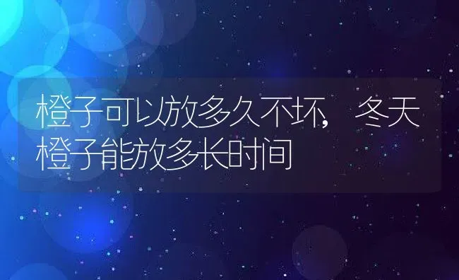 橙子可以放多久不坏,冬天橙子能放多长时间 | 养殖学堂