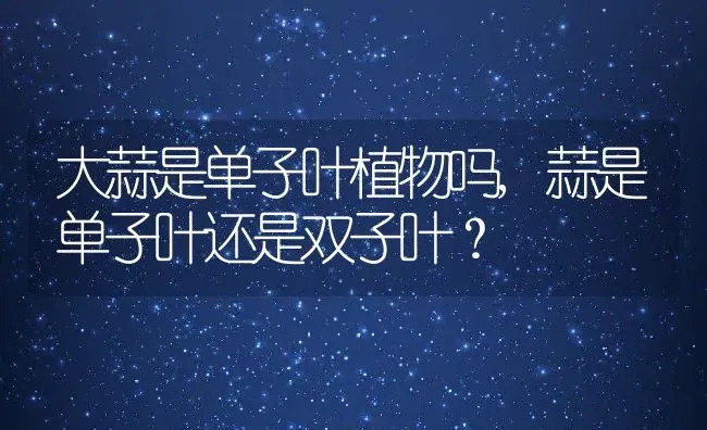 大蒜是单子叶植物吗,蒜是单子叶还是双子叶？ | 养殖科普