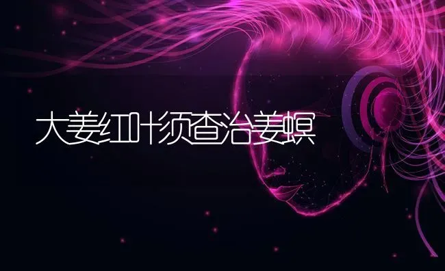 大姜红叶须查治姜螟 | 养殖知识