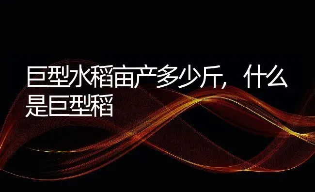 巨型水稻亩产多少斤,什么是巨型稻 | 养殖学堂