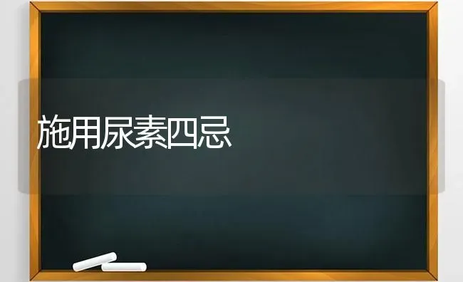 施用尿素四忌 | 养殖知识