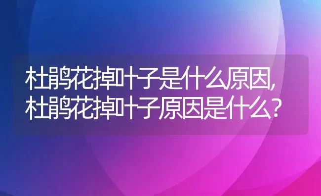 杜鹃花掉叶子是什么原因,杜鹃花掉叶子原因是什么？ | 养殖科普