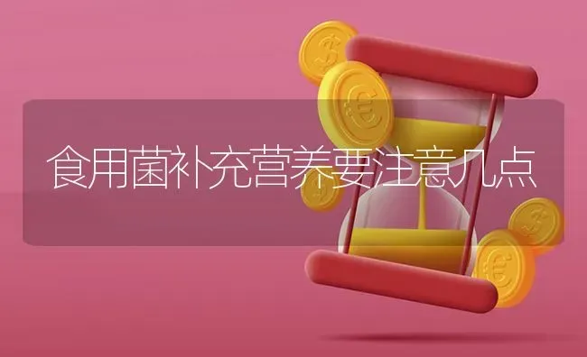 食用菌补充营养要注意几点 | 养殖技术大全