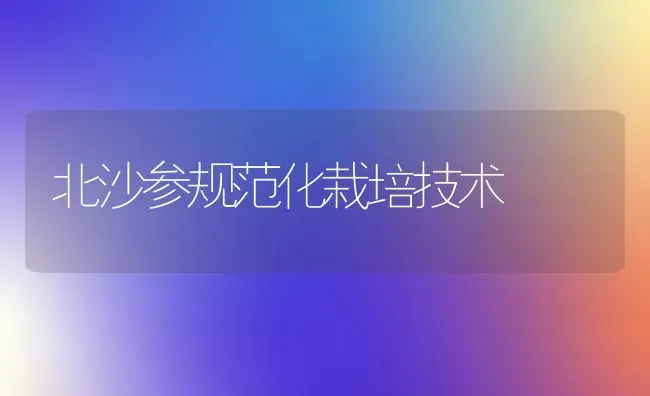 北沙参规范化栽培技术 | 养殖技术大全