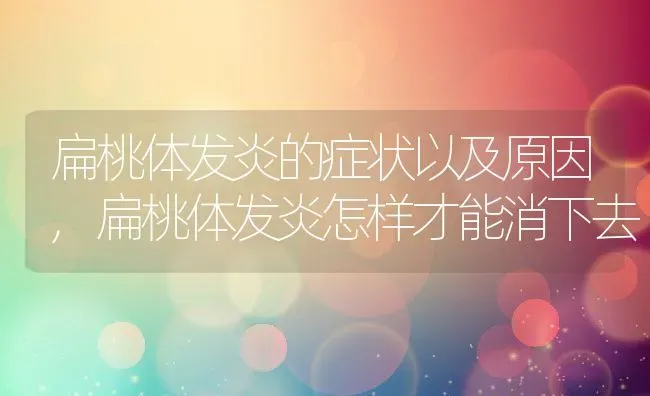 扁桃体发炎的症状以及原因,扁桃体发炎怎样才能消下去 | 养殖学堂