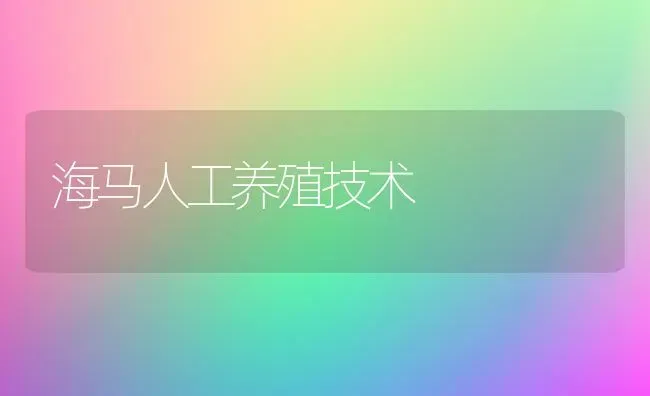 海马人工养殖技术 | 养殖技术大全