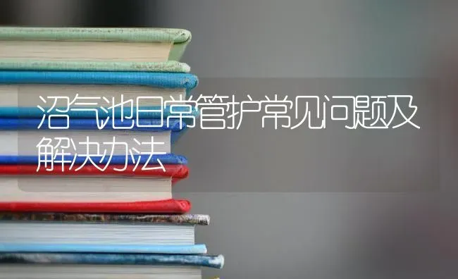 沼气池日常管护常见问题及解决办法 | 养殖技术大全