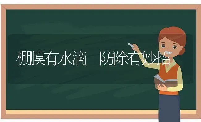 棚膜有水滴 防除有妙招 | 养殖知识