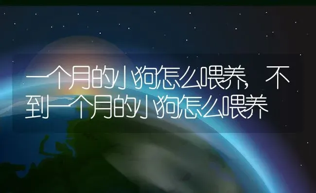 一个月的小狗怎么喂养,不到一个月的小狗怎么喂养 | 养殖科普