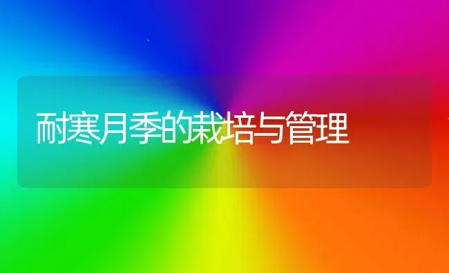 耐寒月季的栽培与管理 | 养殖知识