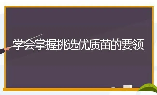 学会掌握挑选优质苗的要领 | 养殖知识