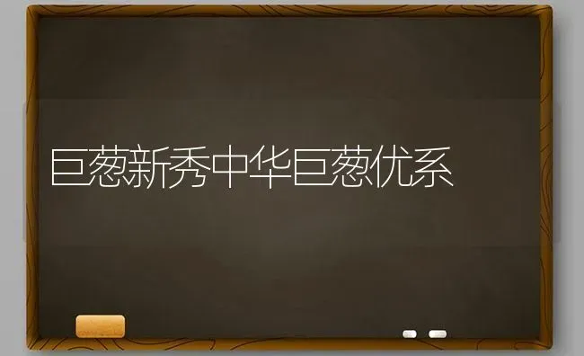 巨葱新秀中华巨葱优系 | 养殖技术大全