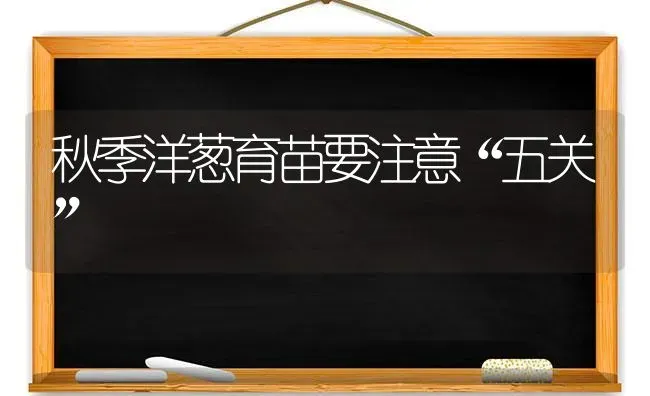 秋季洋葱育苗要注意“五关” | 养殖知识