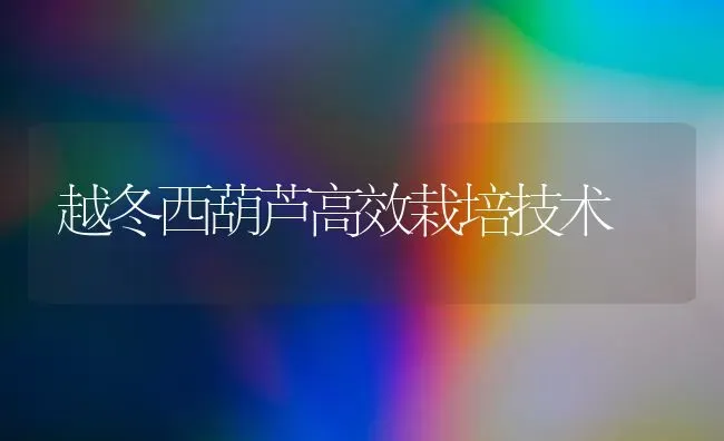 越冬西葫芦高效栽培技术 | 养殖技术大全