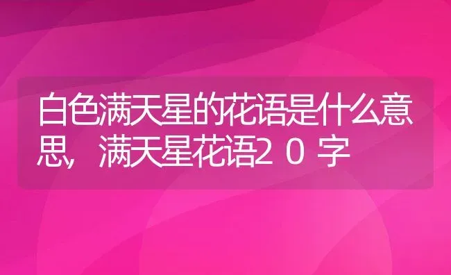 白色满天星的花语是什么意思,满天星花语20字 | 养殖学堂