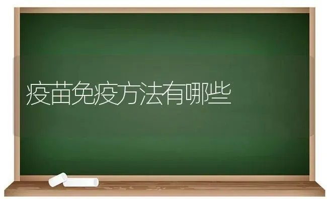 疫苗免疫方法有哪些 | 养殖技术大全