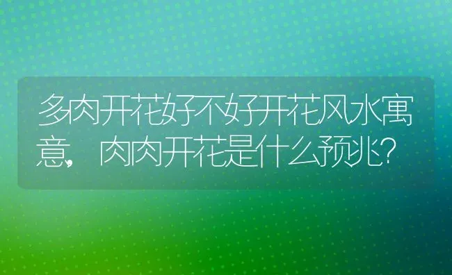 多肉开花好不好开花风水寓意,肉肉开花是什么预兆？ | 养殖科普