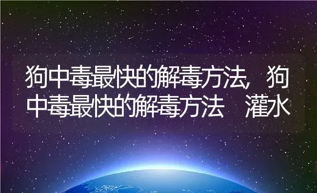 狗中毒最快的解毒方法,狗中毒最快的解毒方法 灌水 | 养殖科普