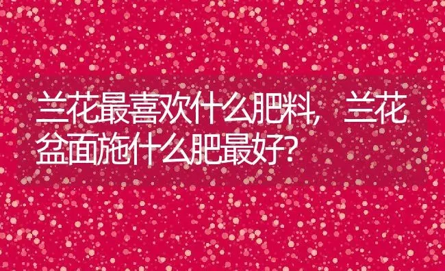 兰花最喜欢什么肥料,兰花盆面施什么肥最好？ | 养殖学堂