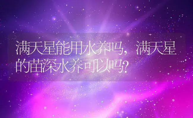 满天星能用水养吗,满天星的苗深水养可以吗？ | 养殖科普