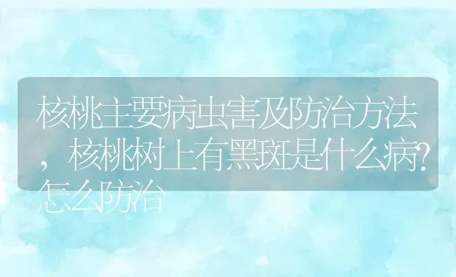 核桃主要病虫害及防治方法,核桃树上有黑斑是什么病？怎么防治 | 养殖学堂