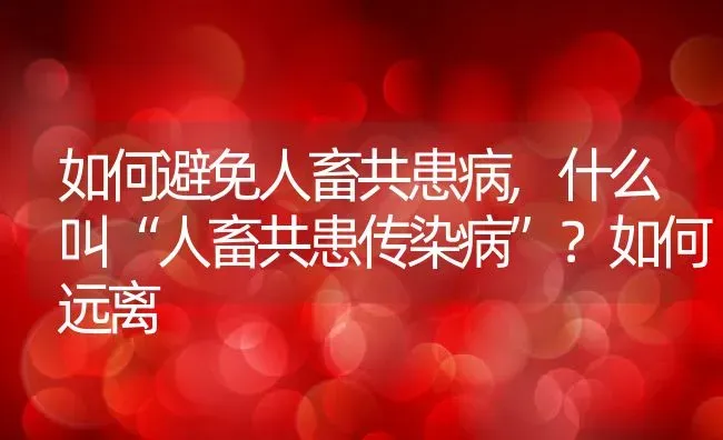 如何避免人畜共患病,什么叫“人畜共患传染病”？如何远离 | 养殖学堂