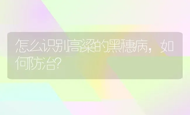 怎么识别高粱的黑穗病,如何防治? | 养殖知识