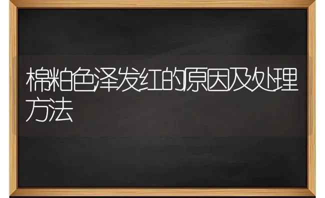 棉粕色泽发红的原因及处理方法 | 养殖技术大全