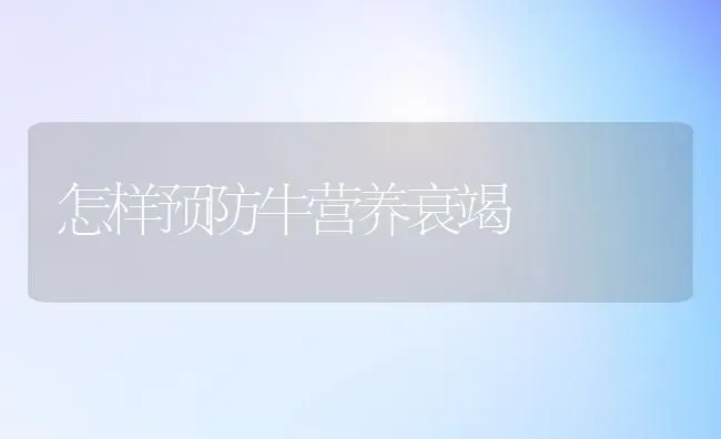 怎样预防牛营养衰竭 | 养殖知识