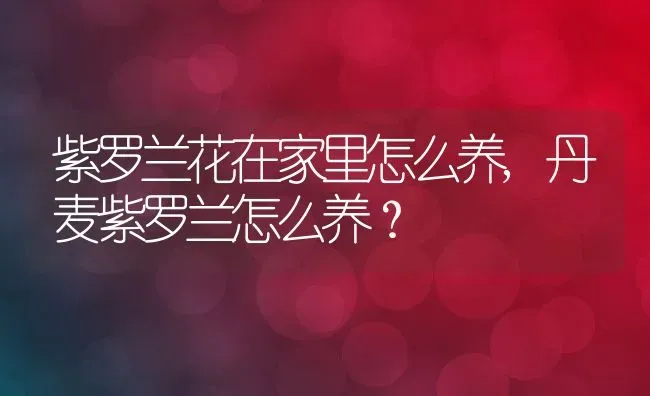 紫罗兰花在家里怎么养,丹麦紫罗兰怎么养？ | 养殖学堂