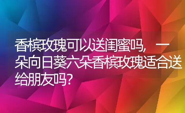 香槟玫瑰可以送闺蜜吗,一朵向日葵六朵香槟玫瑰适合送给朋友吗？ | 养殖学堂