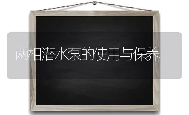 两相潜水泵的使用与保养 | 养殖知识